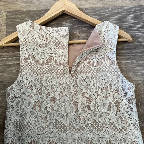 Jessica Howard Ivory Lace Overlay Sheath Dress - Picture 6 of 11